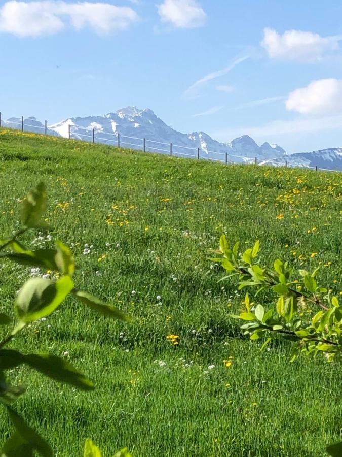 Schoenenbueel Teufen エクステリア 写真